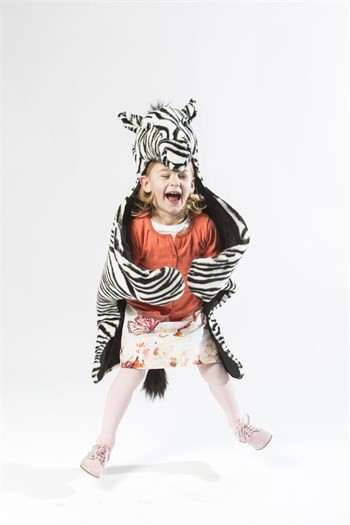 zebra-kostumu